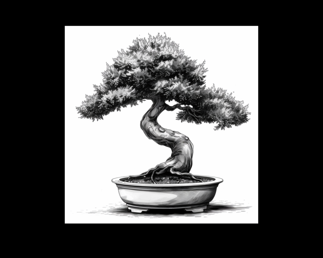 moxie versus bonsai